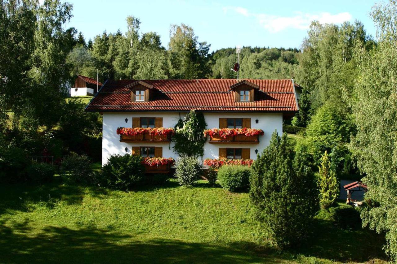 Ferienwohnungen Haus "Wildschuetz" Frauenau Zewnętrze zdjęcie