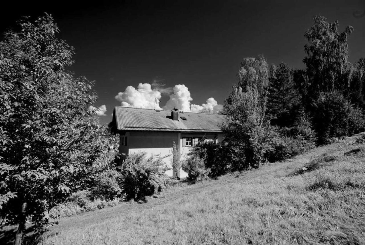 Ferienwohnungen Haus "Wildschuetz" Frauenau Zewnętrze zdjęcie