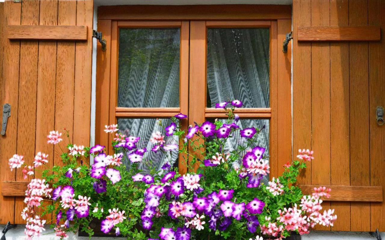 Ferienwohnungen Haus "Wildschuetz" Frauenau Zewnętrze zdjęcie